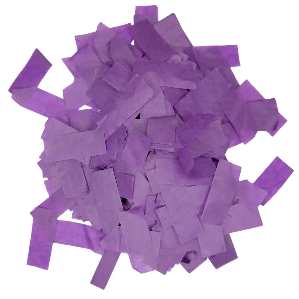 Rectangular Paper Confetti - Eggplant Purple