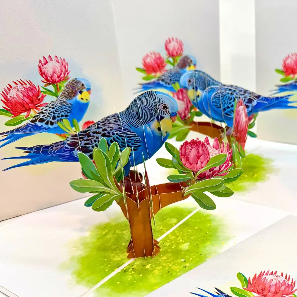 Handmade 3D pop-up card featuring Australian budgie and protea blossoms