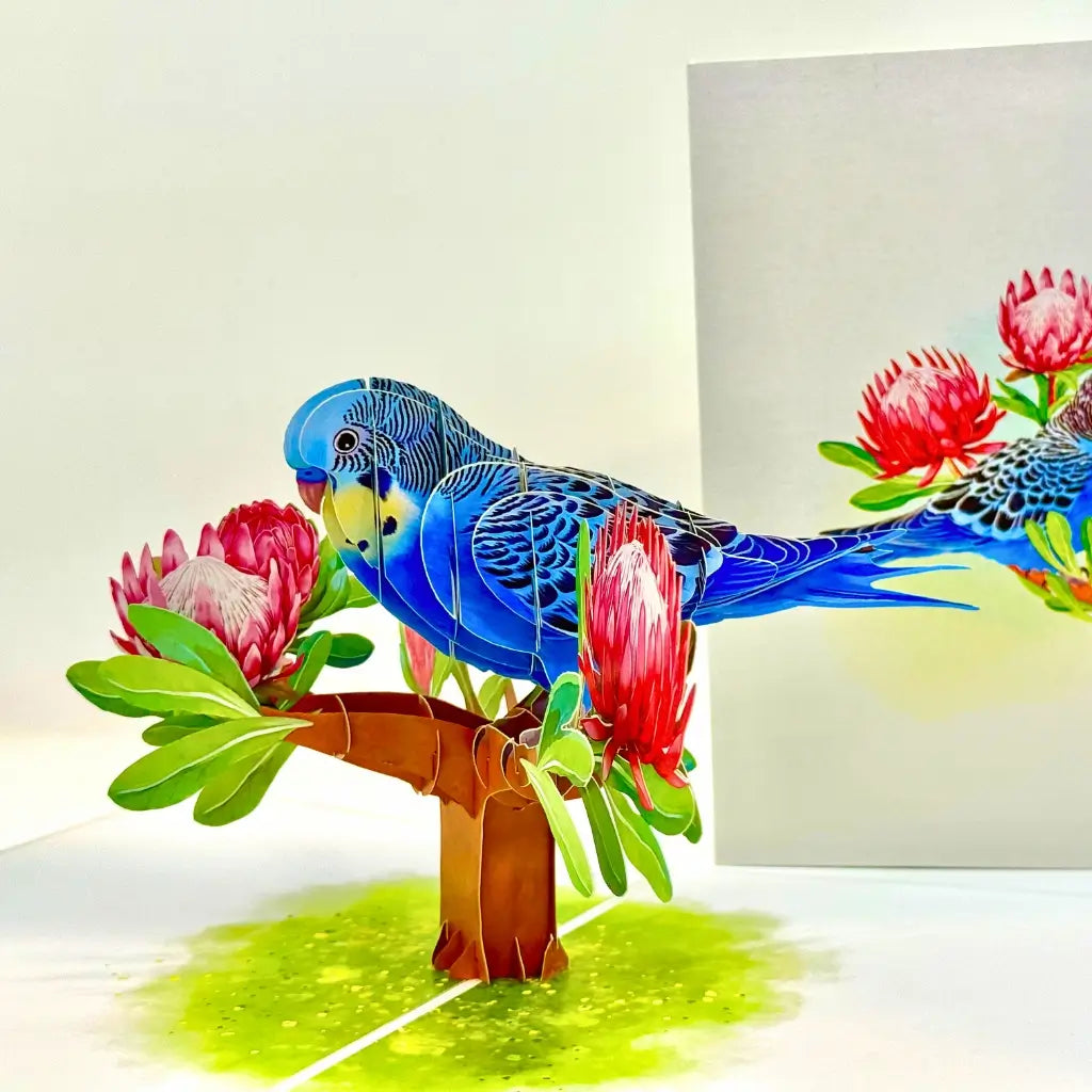 Handmade 3D pop-up card featuring Australian budgie and protea blossoms