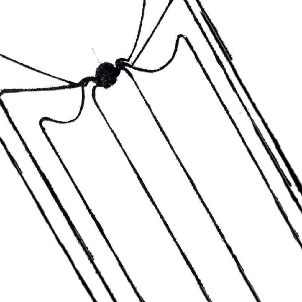 Black Soft-legged Spider 3m Halloween Decorations