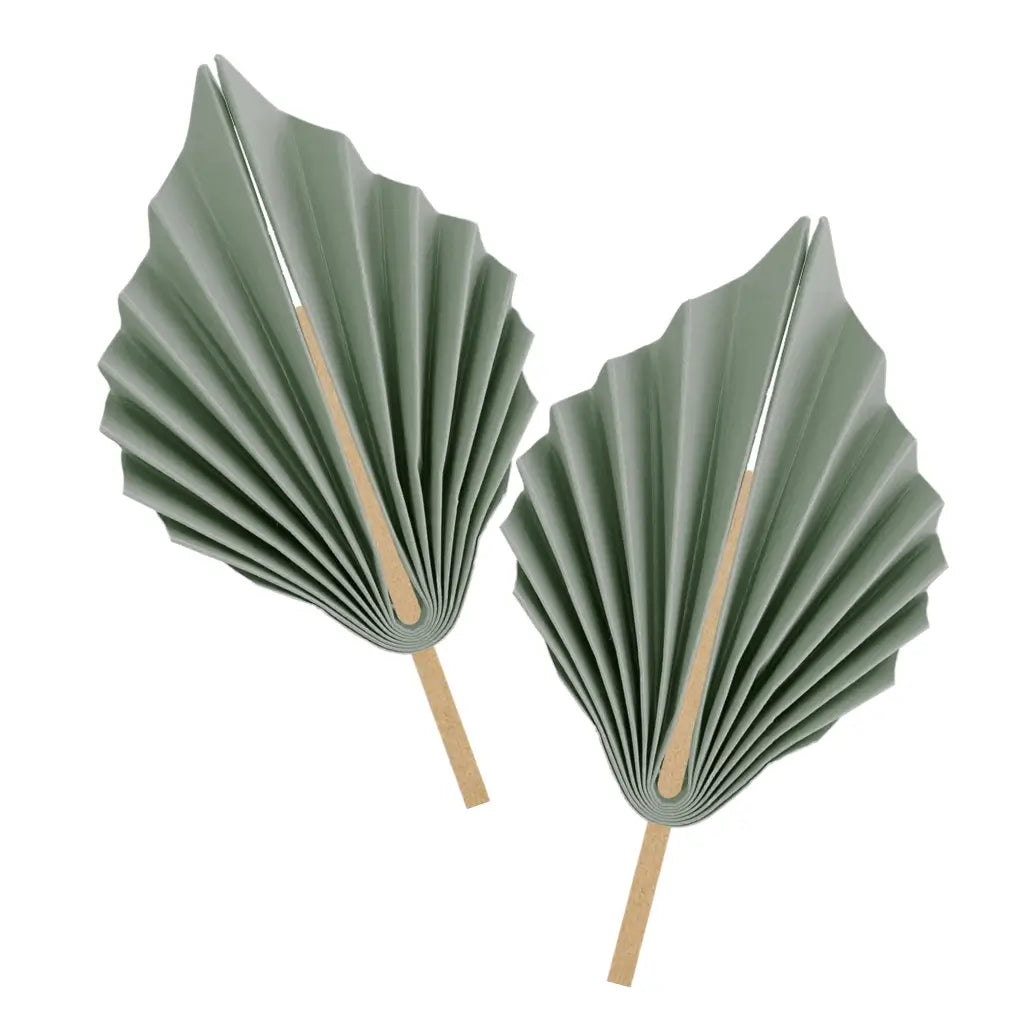 Eucalyptus Paper Palm Leaf Fans 15cm 2pk