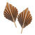 Acorn Paper Palm Leaf Fans 15cm 2pk