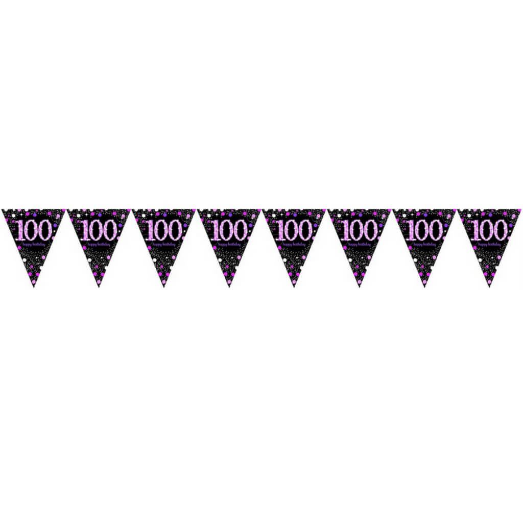 Pink Celebration 100 Prismatic Plastic Pennant Banner