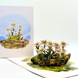 Australian Flannel Native Flower Garden 3D Pop Up Greeting Card