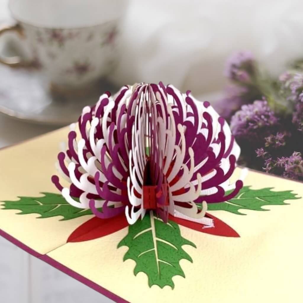 Online Party Supplies Australian Native Flower Purple White Waratah Pop Up Greeting Birthday Mother's Day Card