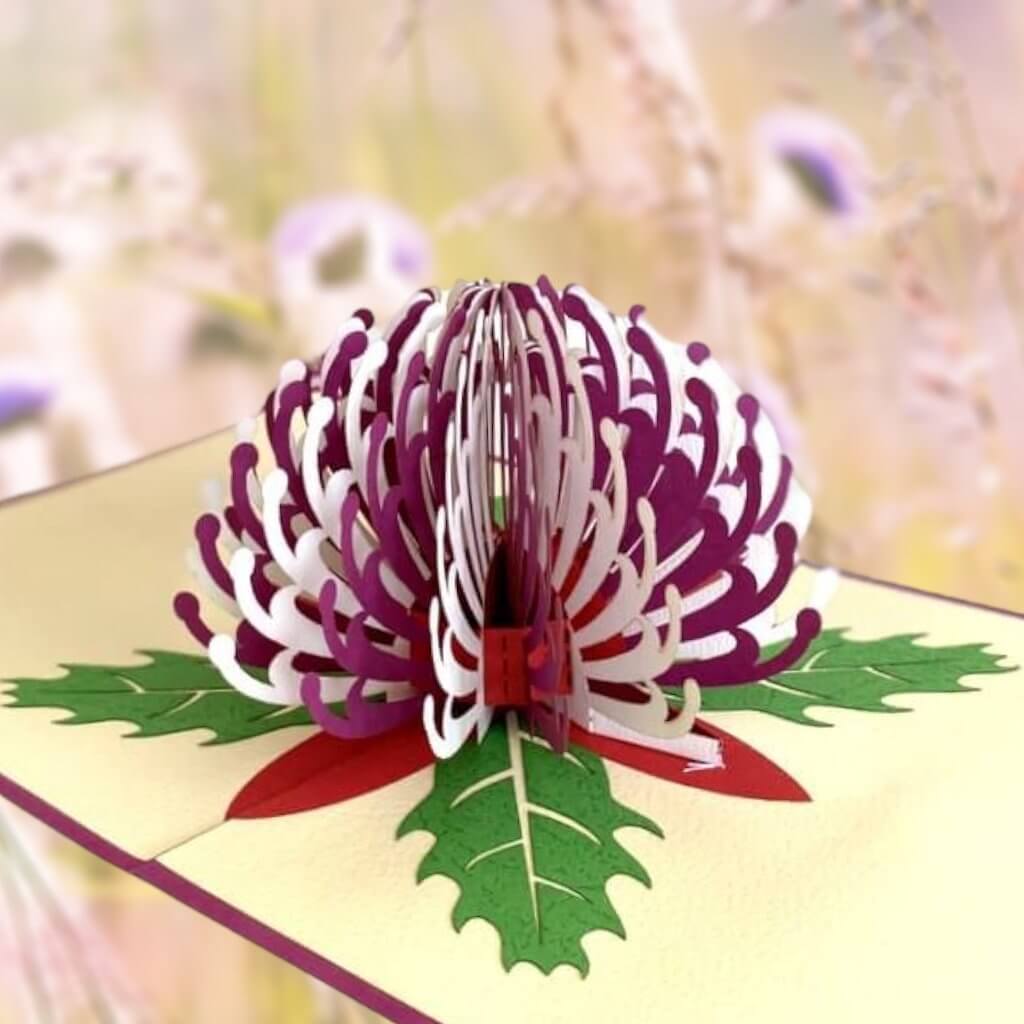 Online Party Supplies Australian Native Flower Purple White Waratah Pop Up Greeting Birthday Mother's Day Card