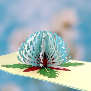Handmade Australian Native Australian Native flora White blue Waratah flower Pop Up Greeting Card