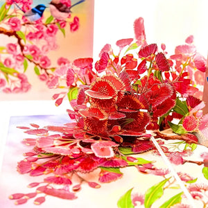 Australian wildlife pop-up card with gumnut flowers and birds