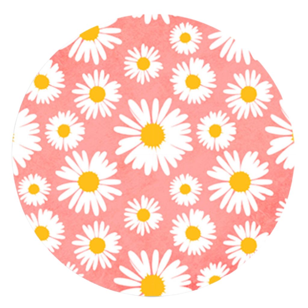 Baby Pink Daisy Flower Paper Plates 23cm 10pk