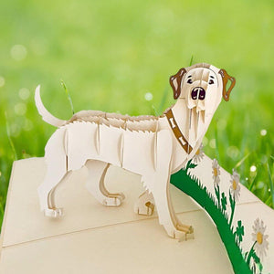 Handmade White Labrador Dog in Daisy Garden 3D Pop Up Card - Online Party Supplies