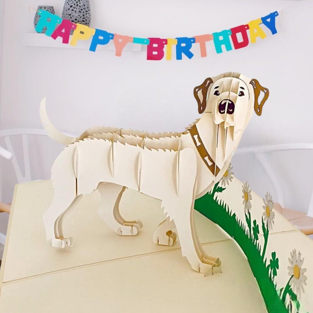 Handmade White Labrador Dog in Daisy Garden 3D Pop Up Card - Online Party Supplies
