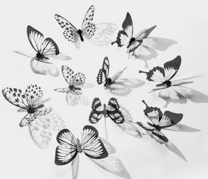 3d Black & White Butterfly Paper Stickers 18pk