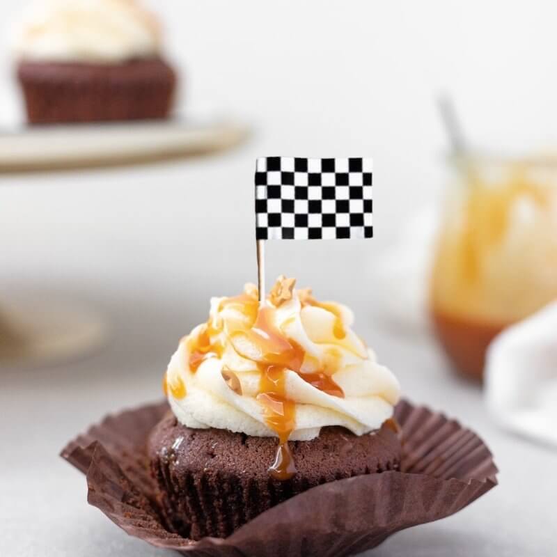 Black & White Checkered Flag Cupcake Picks 24 Pack