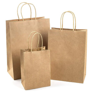 Brown Kraft Paper Gift Bags 4pk