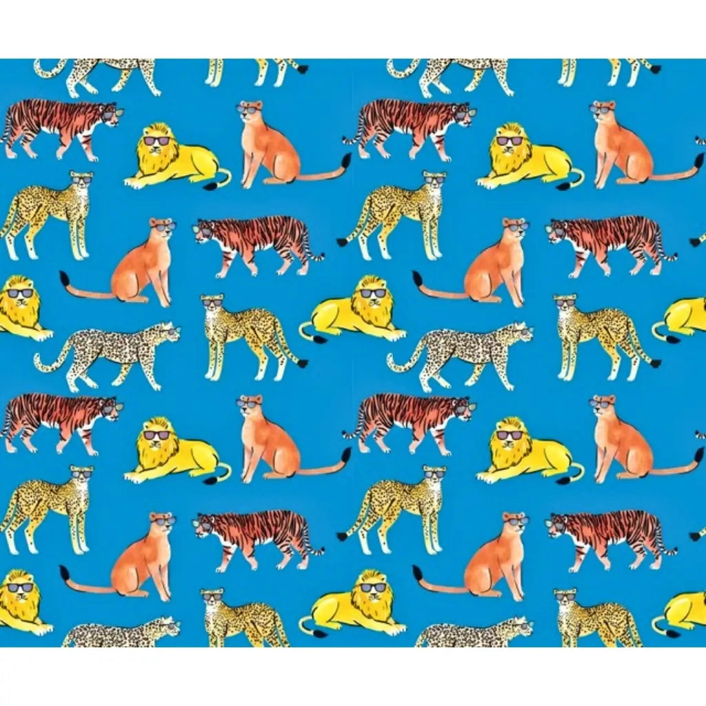 Cool big cats folded gift wrapping paper on a bright blue background