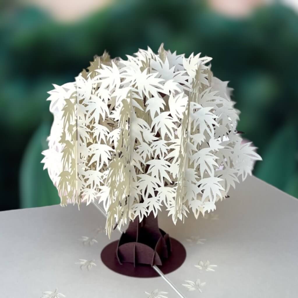 Cream White Japanese Maple Tree 3D Pop Up Greeting Card