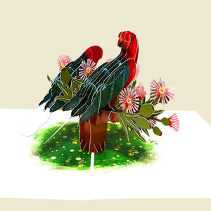 Australian King Parrot Couple On Pink Gum Blossom 3D Card