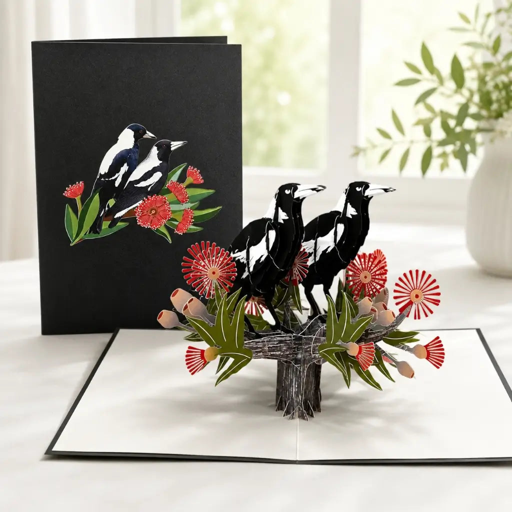 Australian Native Magpie Bird 3D Pop Up Greeting Card