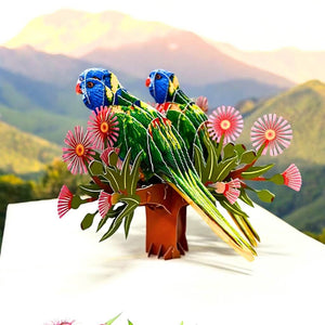 Rainbow Lorikeet Parrot Couple 3D Pop Up Native Bird Card