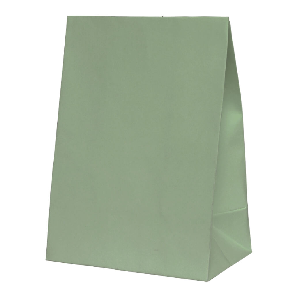 Eucalyptus Paper Party Favour Bags 10pk