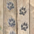 Wild Jungle Animal Pawprint Floor Stickers 6 Pack