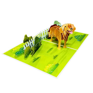 Handmade Golden Retriever Dog 3D Pop Card