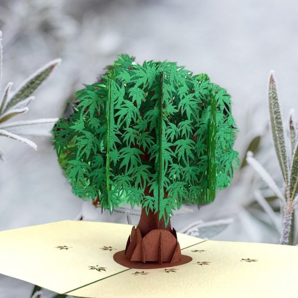 Green Japanese Maple Tree Pop Up Card - 3D Cards