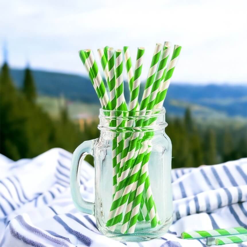 Green & White Soccer Paper Straws 8 Pack