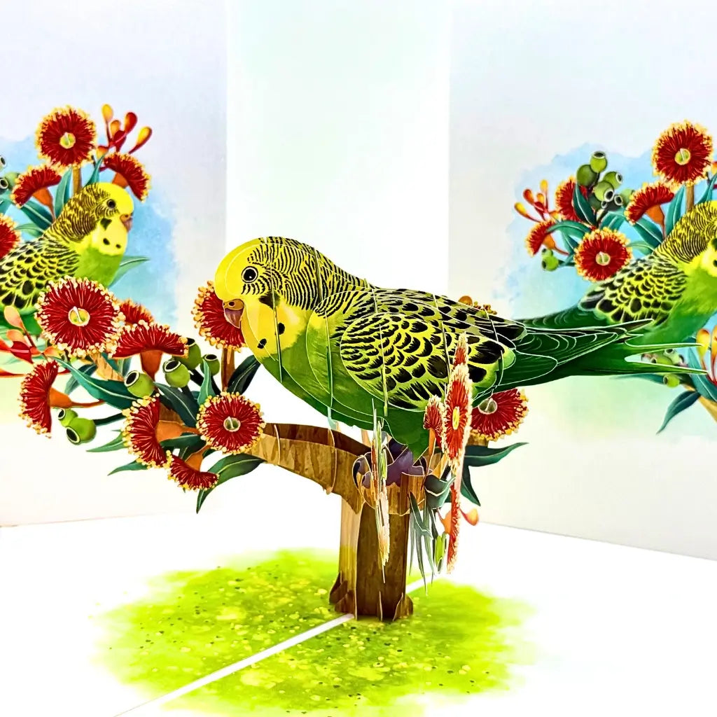 Australian native budgie bird pop-up greeting card with vibrant red flowers