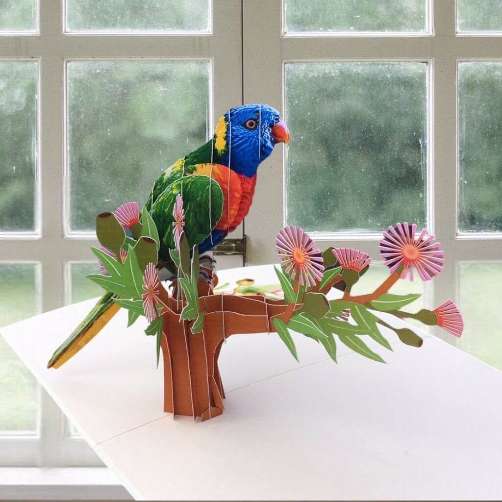 Handmade Australian Native Rainbow Lorikeet Parrot Bird 3D Pop Up Greeting Card - Online Party Supplies