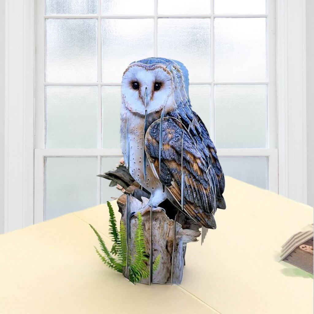 Handmade Online Party Supplies Barn Owl Bird 3D Pop Up Greeting Card