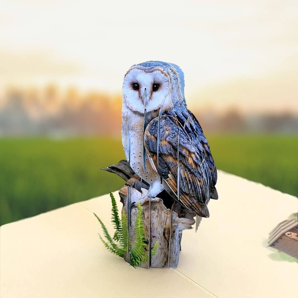 Handmade Online Party Supplies Barn Owl Bird 3D Pop Up Greeting Card