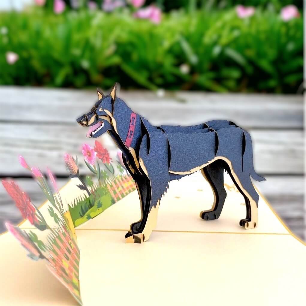 Black Australian Kelpie Dog in Flower Garden Pop Up Card