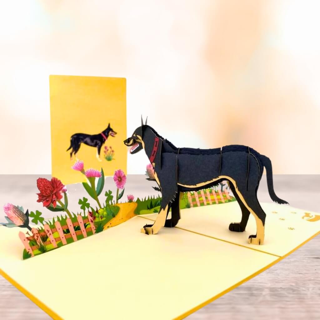 Black Australian Kelpie Dog in Flower Garden Pop Up Card