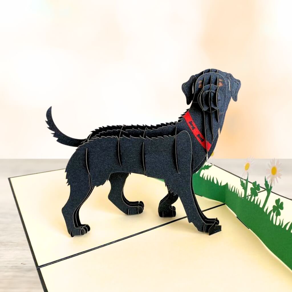 Handmade Black Labrador Dog in Daisy Garden 3D Pop Up Birthday Card