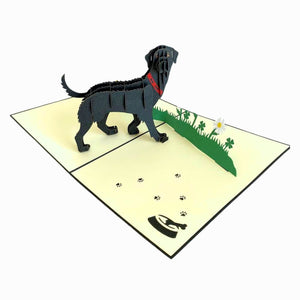 Handmade Black Labrador Dog in Daisy Garden 3D Pop Up Birthday Card