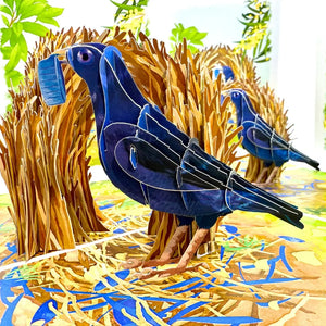 Handmade Australian Satin Bowerbird wildlife greeting card
