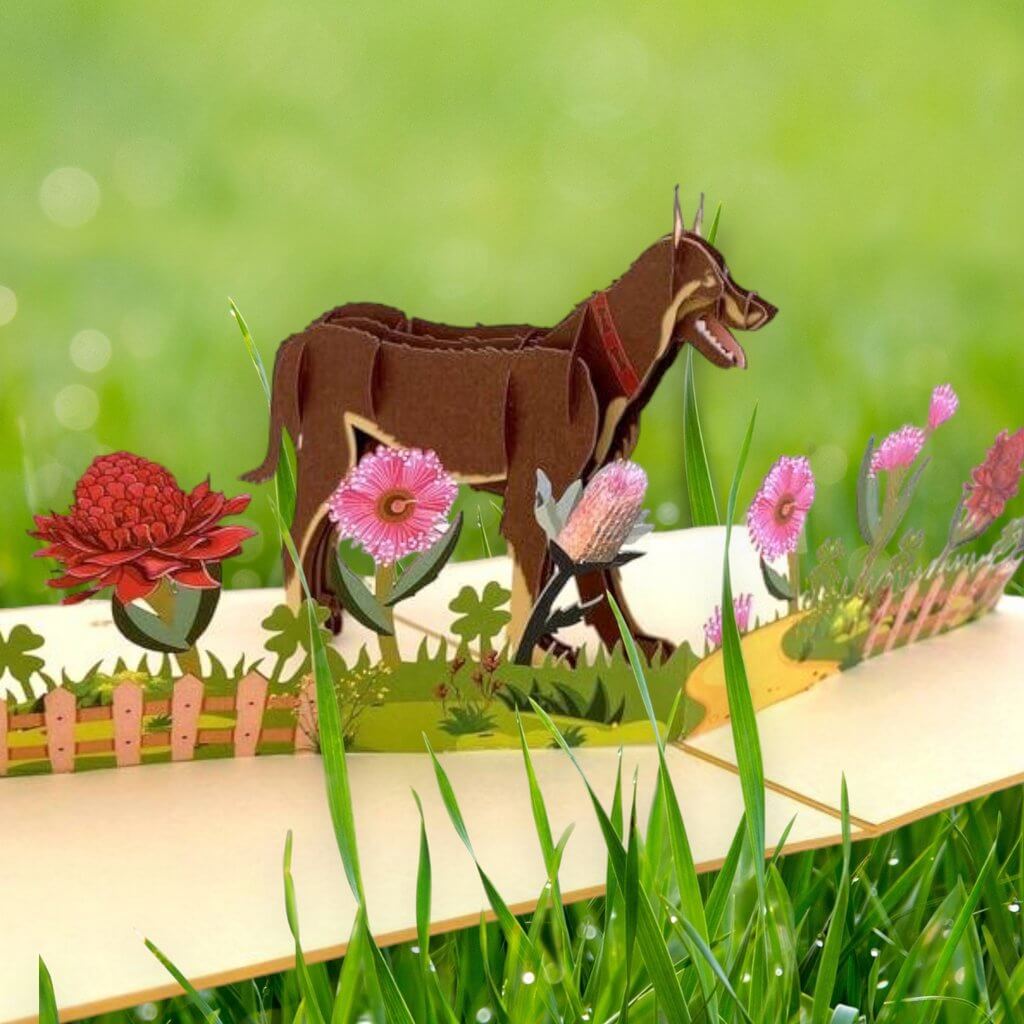 Handmade Brown Australian Kelpie Dog in Flower Garden Pop Up Card - 3D Animal Cards - Cards for Dog Lovers