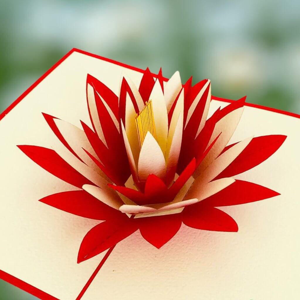 Red and White Lotus Flower Pop Up Card - Red Cover