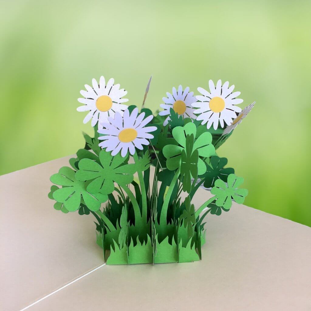 Handmade White Daisy Clover 3D Pop Up Card - Online Party Supplies