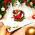 Red Cardinal Bird with Poinsettia Wreath 3d christmas Pop up greeting Card