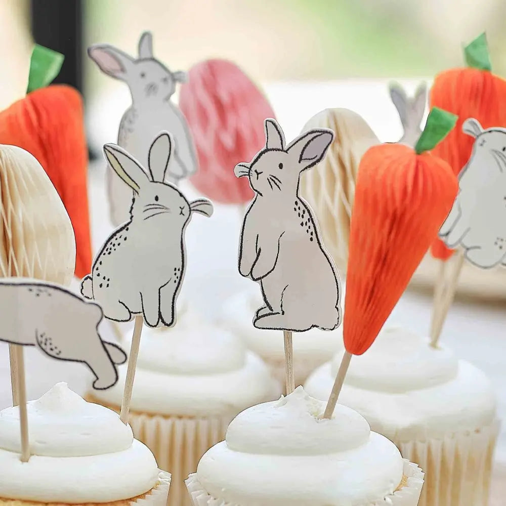 Hop Hop Hooray Easter Cupcake Toppers 12pk