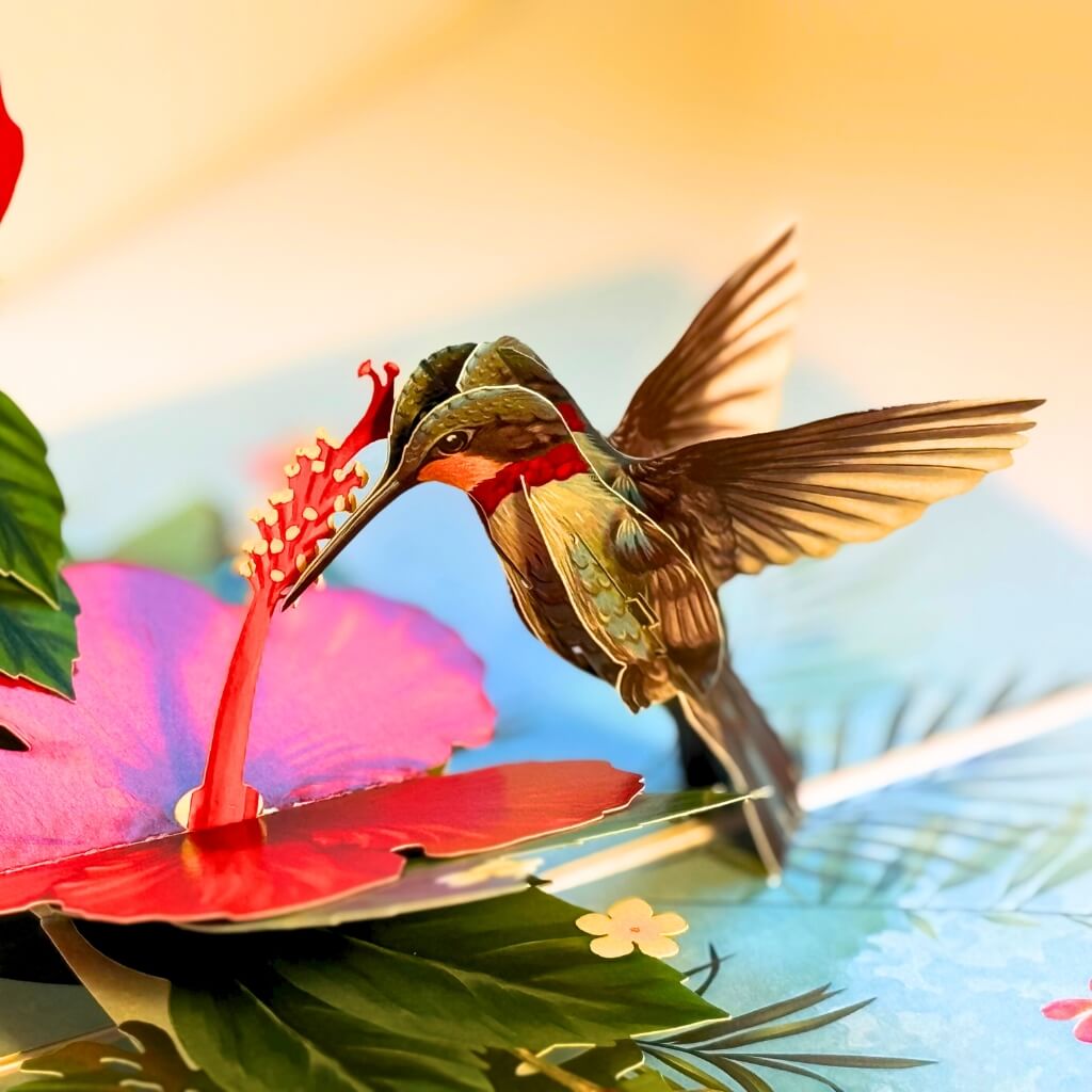 Hummingbird feeding on Red Hibiscus Flowers 3D Pop Up Greeting Card
