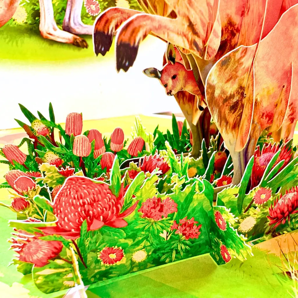 3D pop-up card of kangaroo mother and baby in Australian wildlife scene