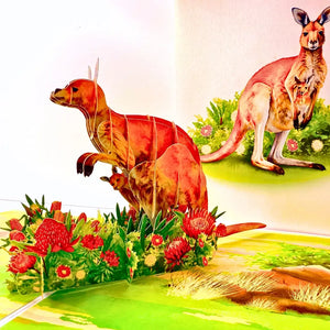 Australian wildlife pop-up card showing kangaroo duo amid native flowers