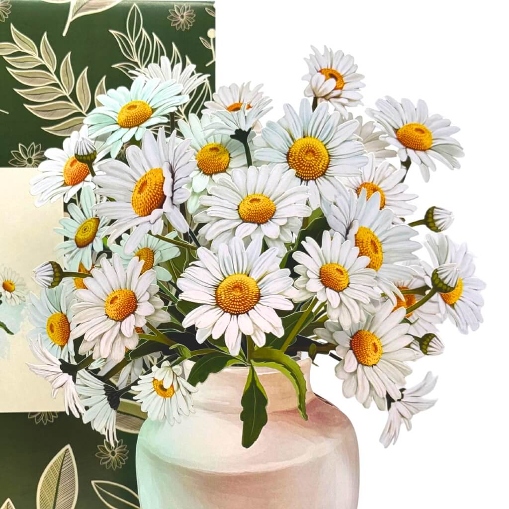 Large White Darling Daisy 3D Pop-Up Bouquet in Ceramic Vase – White Daisy Paper Flowers in Illustrated Envelope