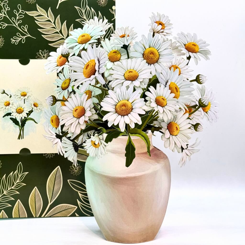 Large White Darling Daisy 3D Pop-Up Bouquet in Ceramic Vase – White Daisy Paper Flowers in Illustrated Envelope