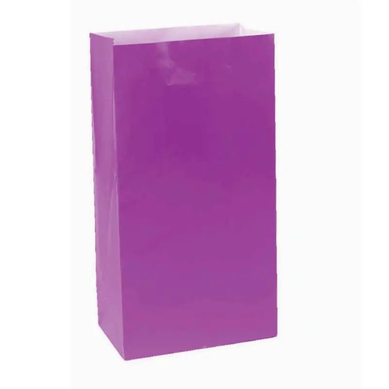 Large Paper Treat Bags 12pk - New Purple