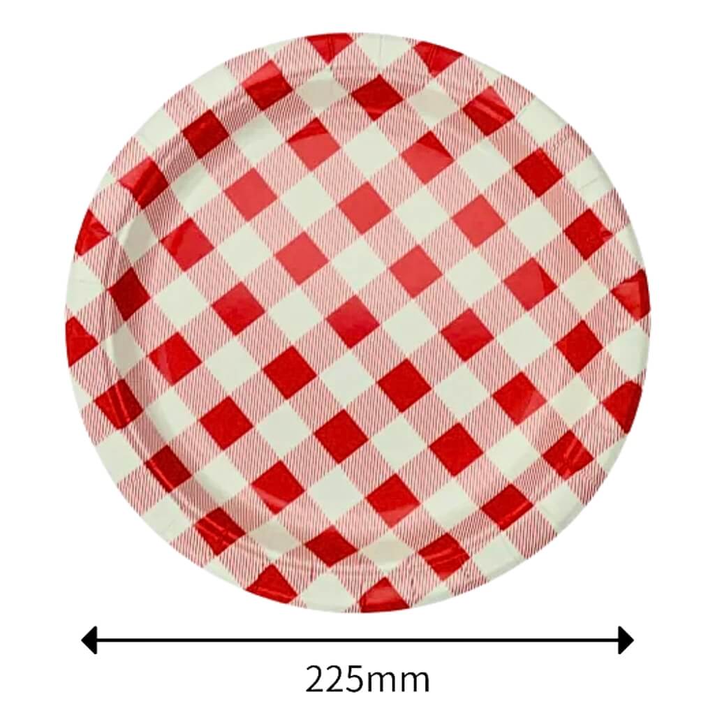 Large red gingham disposable paper plates