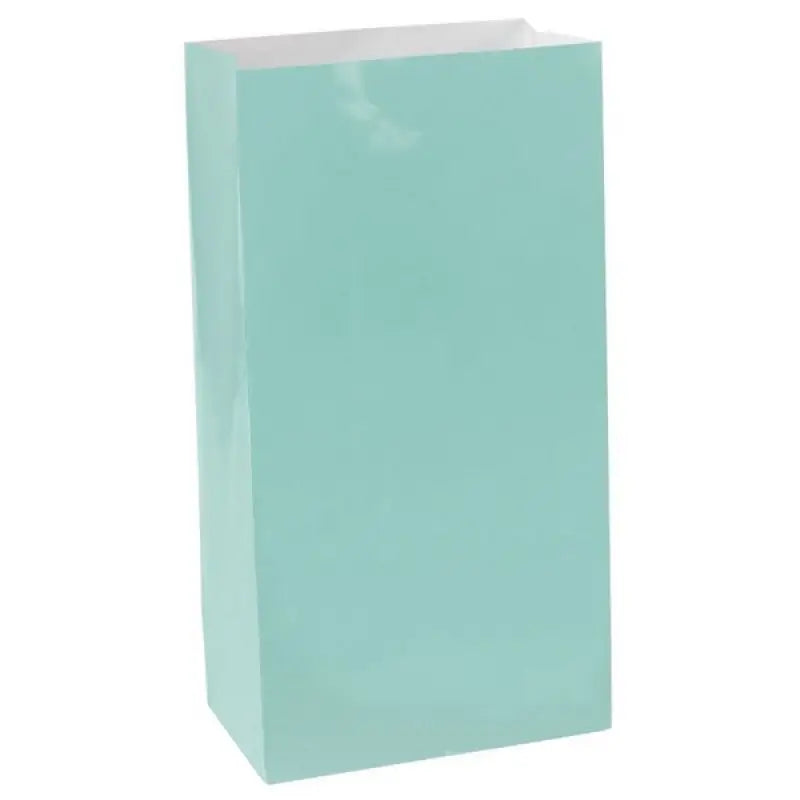 Large Paper Treat Bags 12pk - Robin's Egg Blue